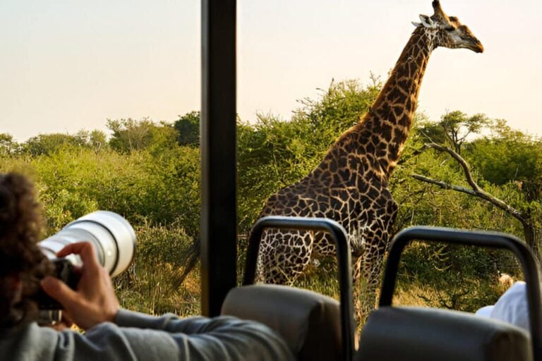 2 Day Radisson Kruger Fly-In Safari from Cape Town